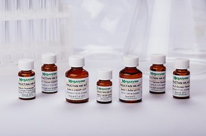 Fructan HK Assay Kit