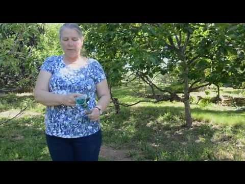 Soil Moisture Monitoring with Tensiometers