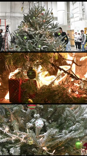 🎥 https://l.masslive.com/b112ir Is your Christmas tree a ticking fire bomb? What every family needs to know. | MassLive