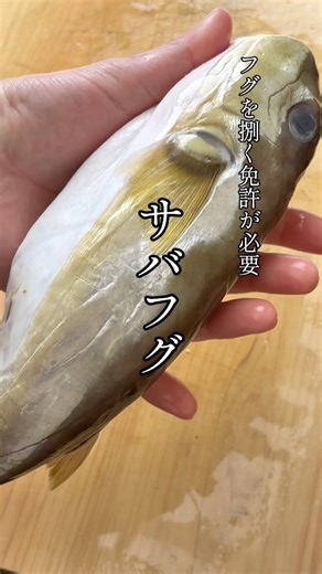 サバフグのカリカリふわふわな唐揚げ！ #料理 #フグ #唐揚げ #簡単レシピ #shorts