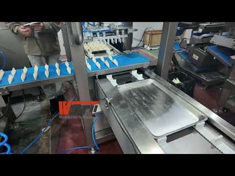 Full automatic production line of commercial fried dumplings (Potsticker, dumplings)