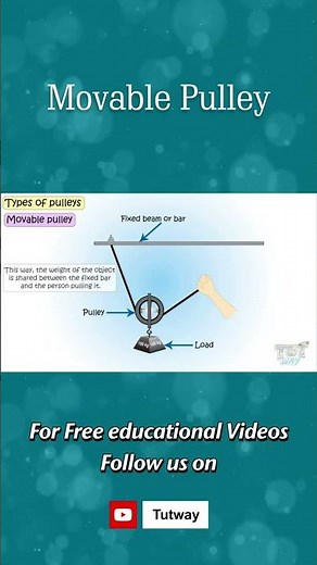 Pulley | Types of Pulley | Movable Pulley | Types, Examples, Features | Science #shorts