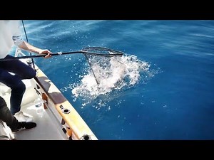 Angler catches EXTREMELY valuable fish!