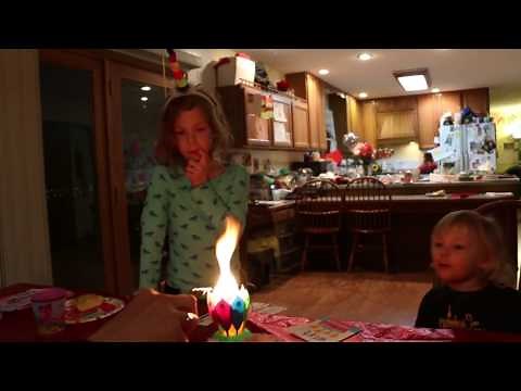 Epic Birthday Candle Fail Almost Burnt My Cake Down : ( - birthday candle lotus flower