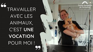 Notre formation à distance lui a permis de pouvoir combiner son emploi et ses contraintes personnelles en avançant à son rythme. Aujourd’hui, elle a fait de sa vocation, son métier. 🐶🐱 Après avoir obtenu son certificat, Mandy a ouvert son salon de toilettage itinérant. Avec son camping-car aménagé, elle dessert les communes qui n'ont pas de toiletteur et permet ainsi aux personnes handicapées ou qui ne peuvent pas se déplacer de prendre soin de leurs animaux. ✂️🚙 | Centre Européen de Formatio