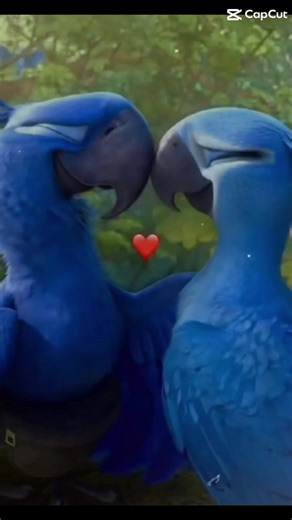 Michael Burd (@michael.burd1)’s videos with original sound - Michael Burd