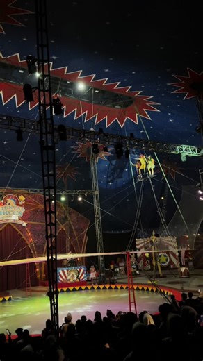 𐙚 Panggil VIVI 𐙚 (@hii_lycheetea) - 2x ke taman safari , terakir kayak udah gak mau masuk lagi ke oriental circus , udah firasat banget ,ehh bener dong sekian lama baru ketahuan sekarang , emang semenyeramkan itu ya? , apa meraka di dalam sana gak tau dunia luar? Tapi hebat mereka tetep senyum & hibur penonton#sircus #tamansafari #fyp #fypシ