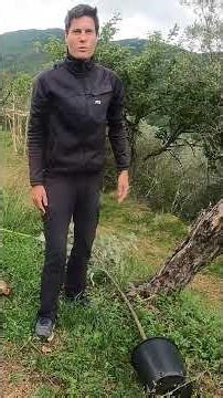 Tidying After the Wedding, Apple Tree Planting & Workshop Prep | Flashback #38