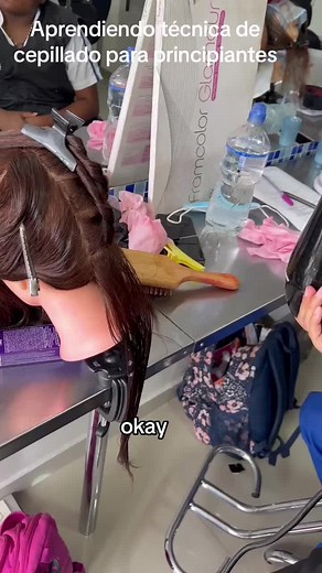 Aprende a Cepillar el Cabello: Técnicas para Principiantes