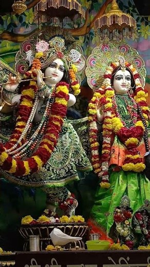 Ji lenge Sarkar 🙏🦚 #love #krishna #radhakrishna #shorts #taranhaarkrishna #bhakti #viralshorts