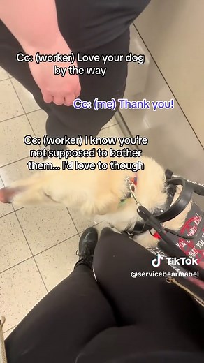 Service Dogs in Action: A Heartwarming Throwback