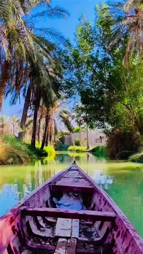 فيديوهات أنشأها ريم الغزال 🦌🦌🦌🦌🦌 (@reem_al_ghazl) باستخدام الصوت الأصلي - ريم الغزال 🦌🦌🦌🦌🦌