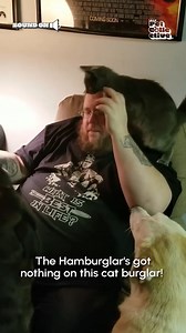 842K views · 1.5K reactions | "Did you bring enough for everyone!?"  (Via - Donald H.) | The Pet Collective | Facebook