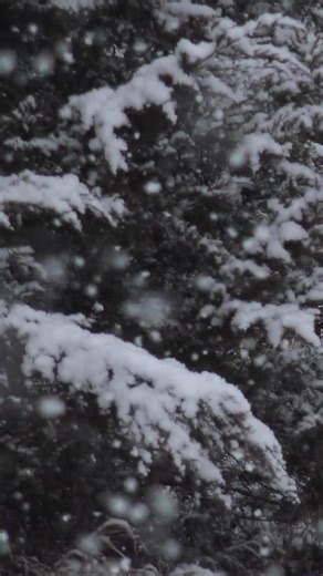 1.9K views · 32 reactions | Anyone else ready to burn some gunpowder? #deerhunting #Bowcamp #gunseason #bigbuckdown | Bow Camp | Facebook