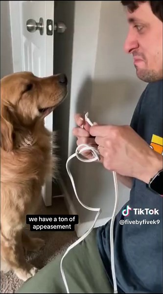 Understanding Dog Behavior: Canine Body Language Explained