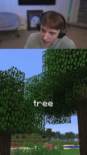 Things in Minecraft that REALLY EXIST