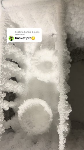 Enjoying Freezer Frost ASMR: Ice Eating Delight