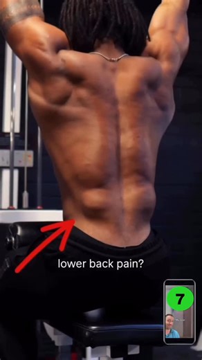 Squat University on Instagram: "Are back extensions good or bad for back pain rehab? Well it depends. But if they CAUSE pain - here’s one reason why! . Shout out @joeyawalashaw for the opening stitched video & @muscleandmotion for the amazing anatomy graphics."