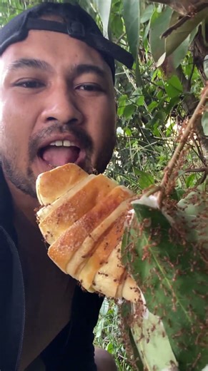 Cake vs Man – Red Ants Decide!