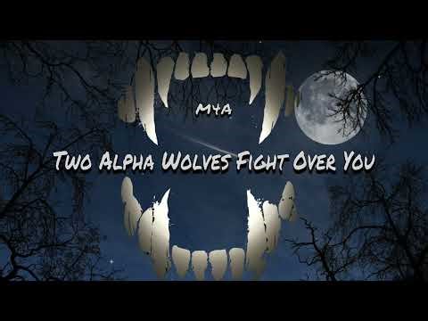 Two Alpha Wolves Fight Over You [M4A] ASMR Roleplay