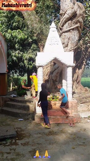 #Mahashivratri #sort #like #viralvideo
