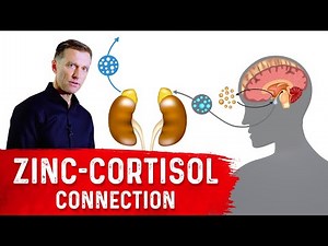 Zinc Can Help Lower Cortisol