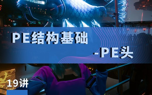 19讲丨Windows系统编程-PE结构基础-PE头丨极安御信&漏洞银行