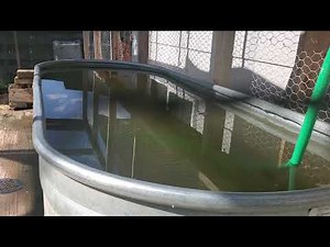 duck pond sand filter