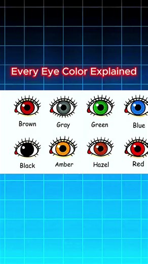 Understanding Human Eye Colors: Black and Amber Explained