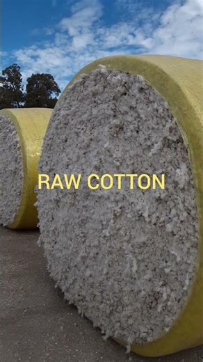 PROCESSED COTTON BALES in #nutbushcitylimits