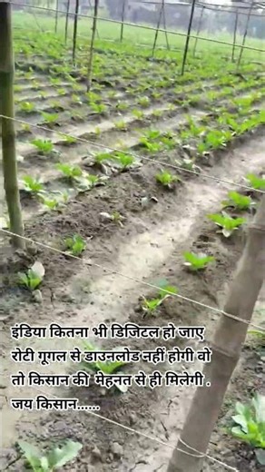 इंडिया कितना भी डिजिटल हो जाए रोटी गूगल से डाउनलोड नहीं होगी वो तो किसान की मेहनत से ही मिलेगी.