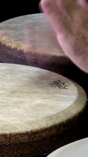 Remo Inc. on Instagram: "Which Remo Mondo™ Djembe drumhead is right for you? 🤔 Remo offers four weather-resistant djembe drumheads, each providing a distinct sound and feel. Mondo Fiberskyn – Warm, lively overtones with a crisp slap for a balanced, traditional djembe sound. Mondo Skyndeep – Bright, resonant tones with enhanced volume & projection, plus stunning graphic designs. Mondo Nuskyn – Natural, warm, full-bodied sound with deep low & mid-range frequencies. Mondo Skyndeep Natural –