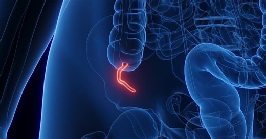 What does the appendix do? Biologists explain the complicated evolution of this inconvenient organ