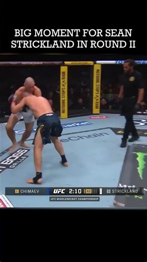 SEAN STRICKLAND IN ROUND II, WHAT HAPPENED? #khamzatchimaev #seanstrickland #ufc