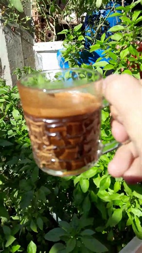 #coffee ☕️❤️ #time in the #morning 🍃🌿🌿🪴🍂⚘️🍁