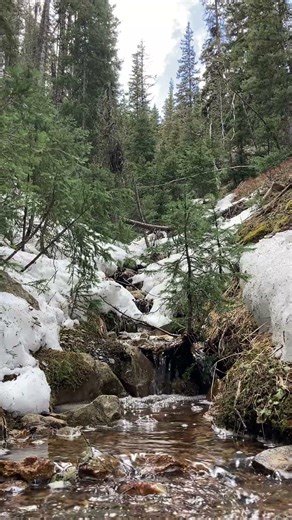 Snowmelt Brook💦