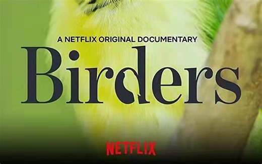 【观鸟者(Birders)】| 2019Netflix纪录片 | 英语中字