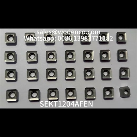 Wodenco SEKT1204AFEN