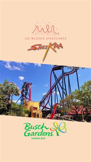 SHEIKRA (POV) (Full Ride) 🇪🇸Esta montaña rusa es impresionante por su concepto, con una caída de 90º, previa parada, llega a alcanza los 110 km/h. En su día batió varios recados como la Dive Coaster más larga, mas rápida y más alta del mundo. Se encuentra en Busch Gardens en Tampa, Florida. 🇵🇹Esta montanha-russa é impressionante pelo seu conceito, com uma queda de 90º, com paragem prévia, chegando a atingir os 110 km/h. Na época, bateu vários recordes como a Dive Coaster mais longa, mais ráp