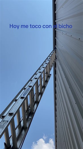 Hoy fue algo diferente chicos #limpieza #alturas
