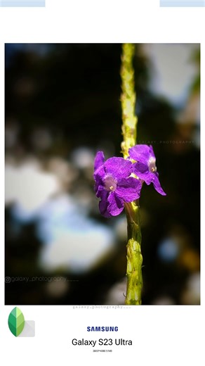 Creative mobile pro mode photography #tutorial galaxy_photography #mobilephotography #shorts