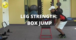 3K views · 19 reactions | Having strong legs is a key factor to...