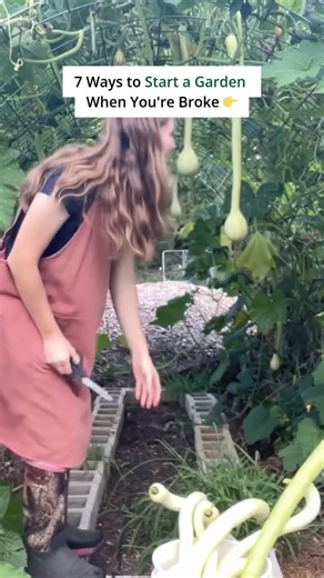 Your garden-on-a-budget cheat sheet 📌 I packed all 7 of my go-to budget gardening tricks into one carousel so you can actually START instead of staying stuck in "someday I'll have a garden" mode. Here's what's inside: Start with the Big 3: tomatoes, lettuce, and green beans - these give you the most food for the least effort and cost about $12 total to start. Use cardboard boxes as instant raised beds - lay them flat on grass, cut holes, fill with cheap topsoil mixed 50/50 with compost from you