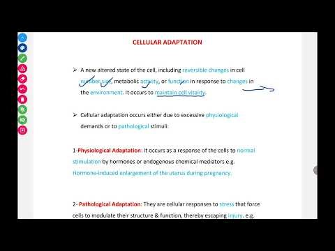 Lec 1 ( Introduction - Cellular adaptation )
