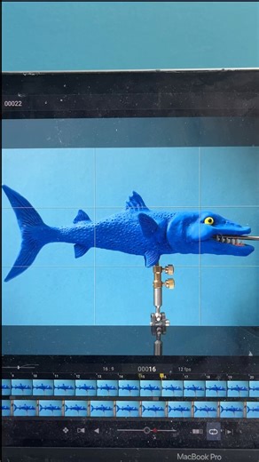 Claymation - Barracuda Swim Cycle #animation #stopmotion #claymation