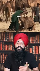 572K views · 10K reactions | Why Saudis Love Meat: Exploring the Kingdom's Meat-Centric Cuisine #SaudiFood #MeatLover #facts | Jot Tv Media | Facebook