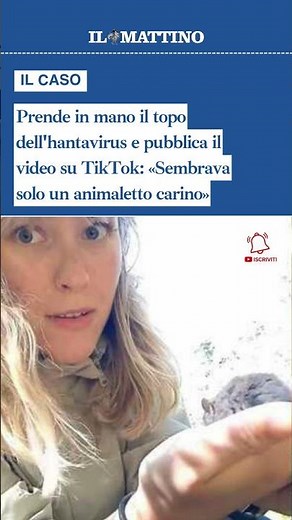 Prende in mano il topo dell'hantavirus e pubblica il video su TikTok: «Sembrava carino»