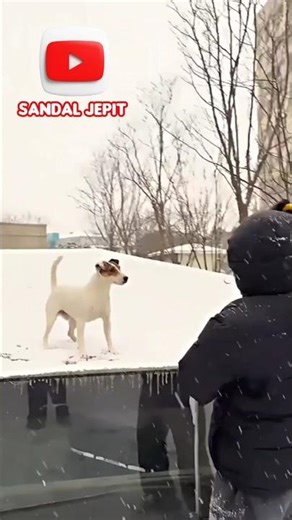 𝗠𝗔𝗜𝗡 𝗚𝗔𝗦 𝗔𝗝𝗔 #short