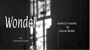 Wonder