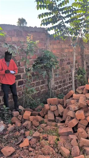 #chuisimba #viralvideo #kisiitiktokres🇰🇪🇰🇪 #fyp #momanyi🤣🤣🤣🤣🤣🤣🤣🤣